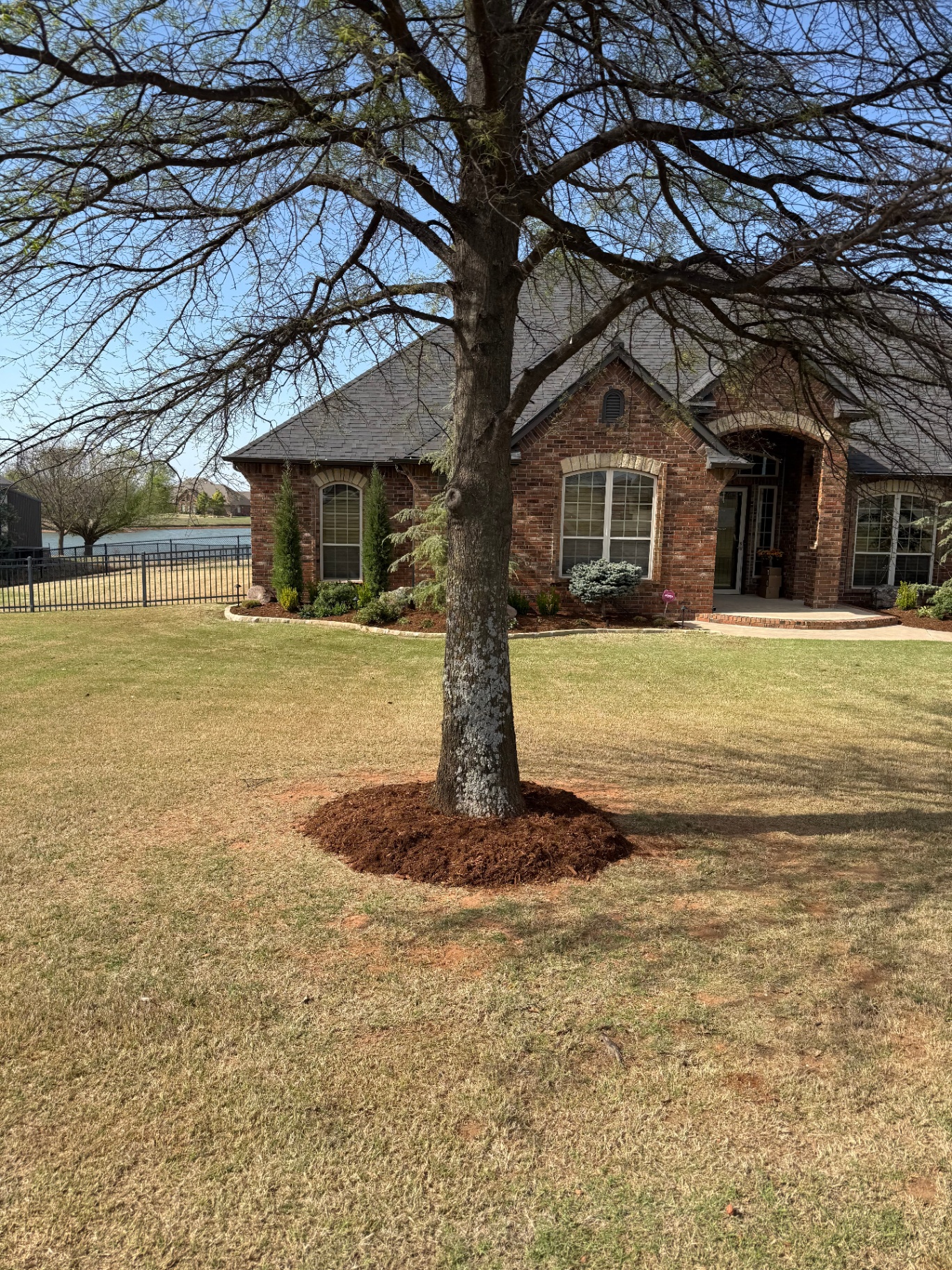 Tree Removal